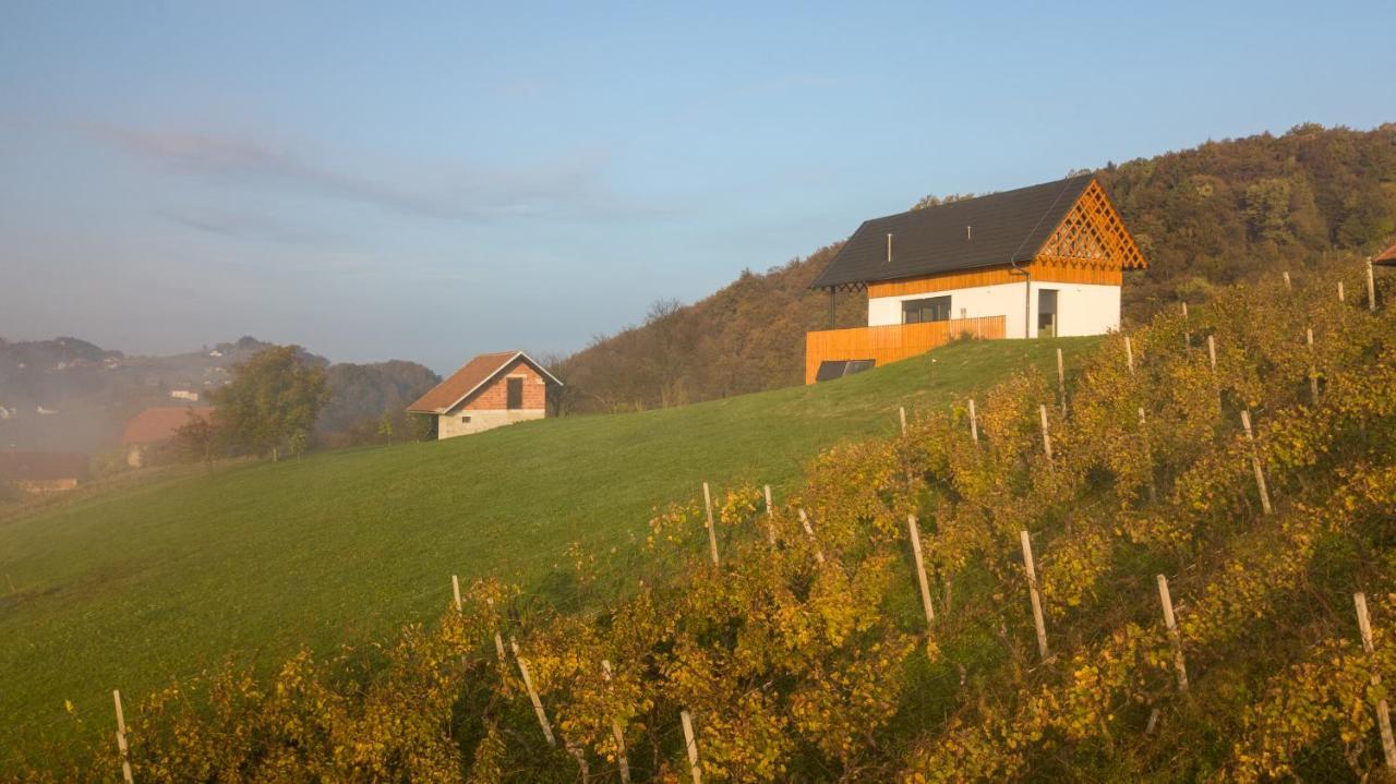 Villa Strtenica In The Vineyard Pristava pri Mestinju Exterior foto