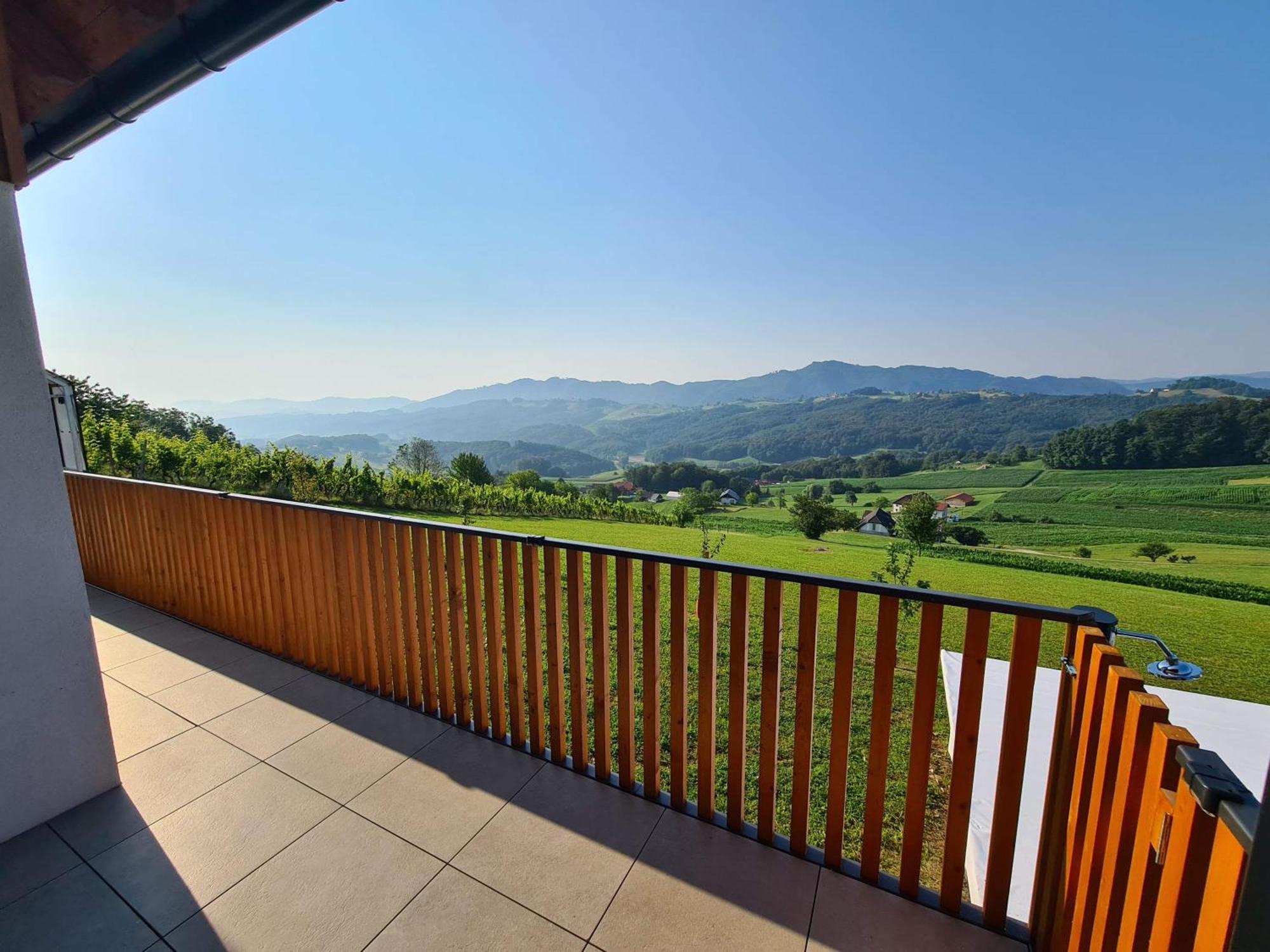 Villa Strtenica In The Vineyard Pristava pri Mestinju Exterior foto