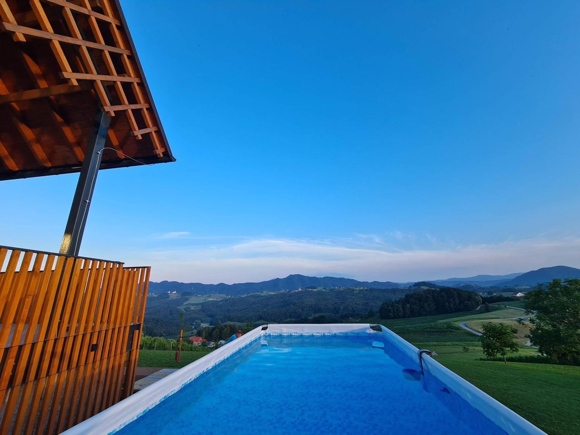Villa Strtenica In The Vineyard Pristava pri Mestinju Exterior foto